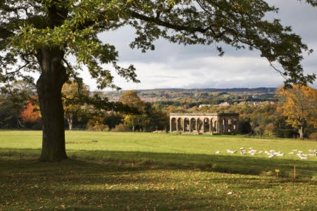 Gibside's Orangery
