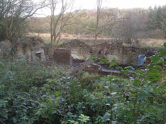 Remains of dwellings at Derwentcote