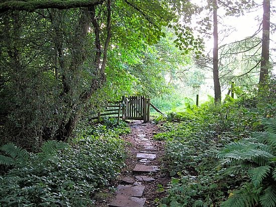 Path to Cotherstone