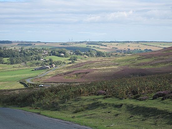 Coming into the Land of Oak & Iron