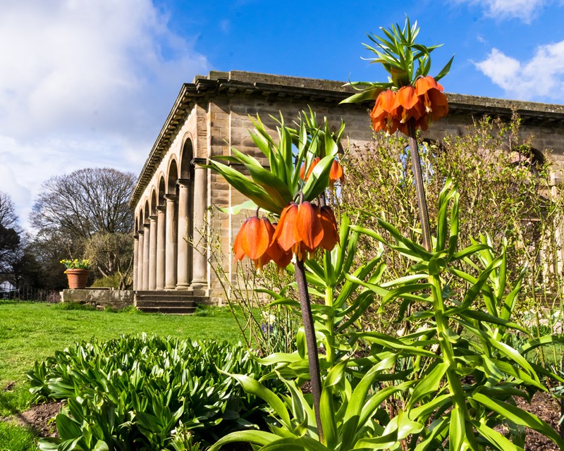 Orangery by Tony Blackett