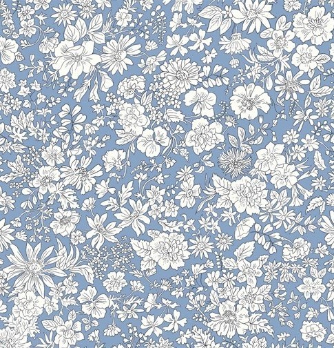 Emily Belle Evening sky