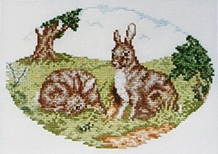 Large rabbit