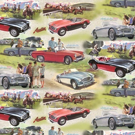 Michael Miller Austin Healey