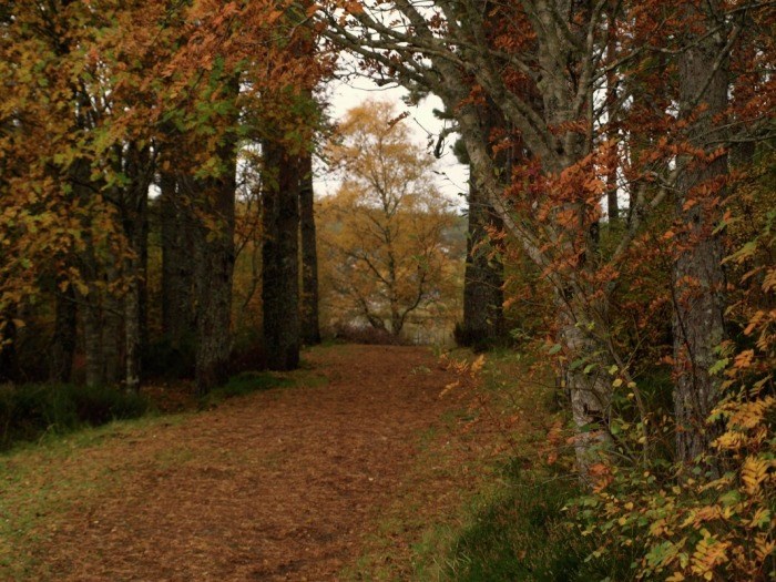 Lairg in Autumn