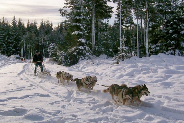 Lairg in Winter