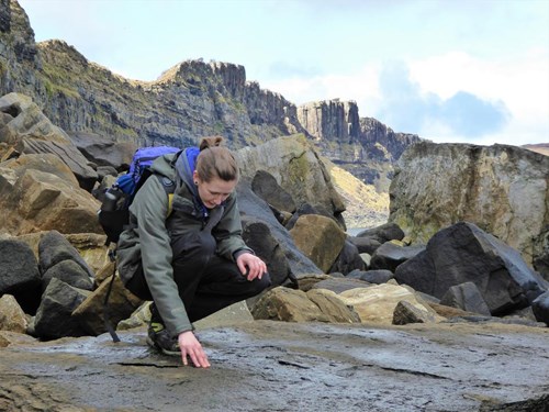 Scotland's Fossil Code Relaunched