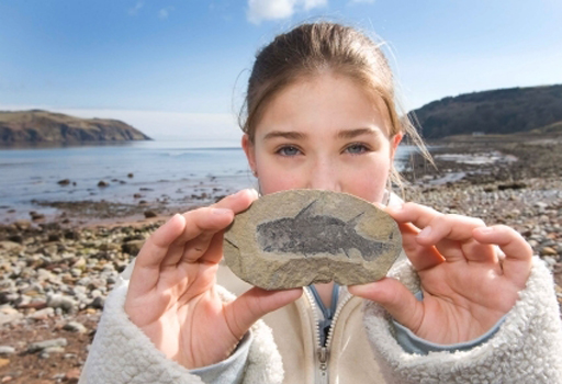 A fossil hunter