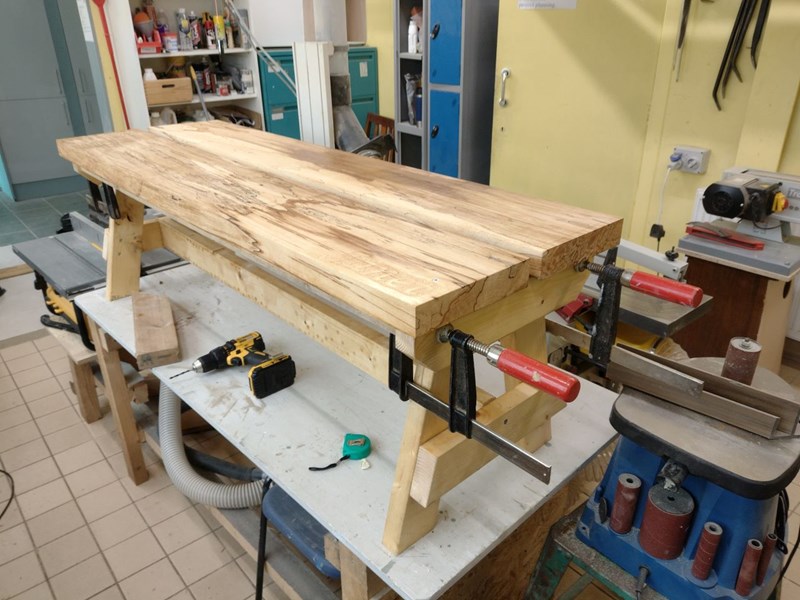 A new bench for the Botanic Gardens