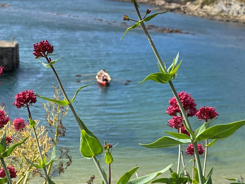 Skiff leaving Crail Harbour