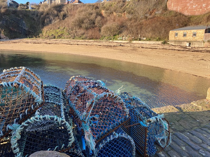 Creels at Crail harbour on a early morning 