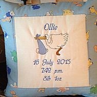 Baby's Birth Cushion