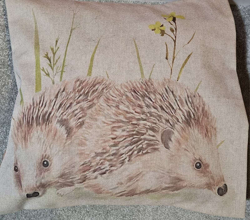 Hedgehog Cushion