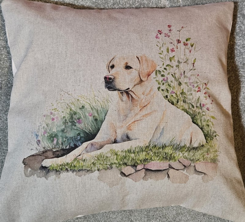 Labrador Cushion (lying)