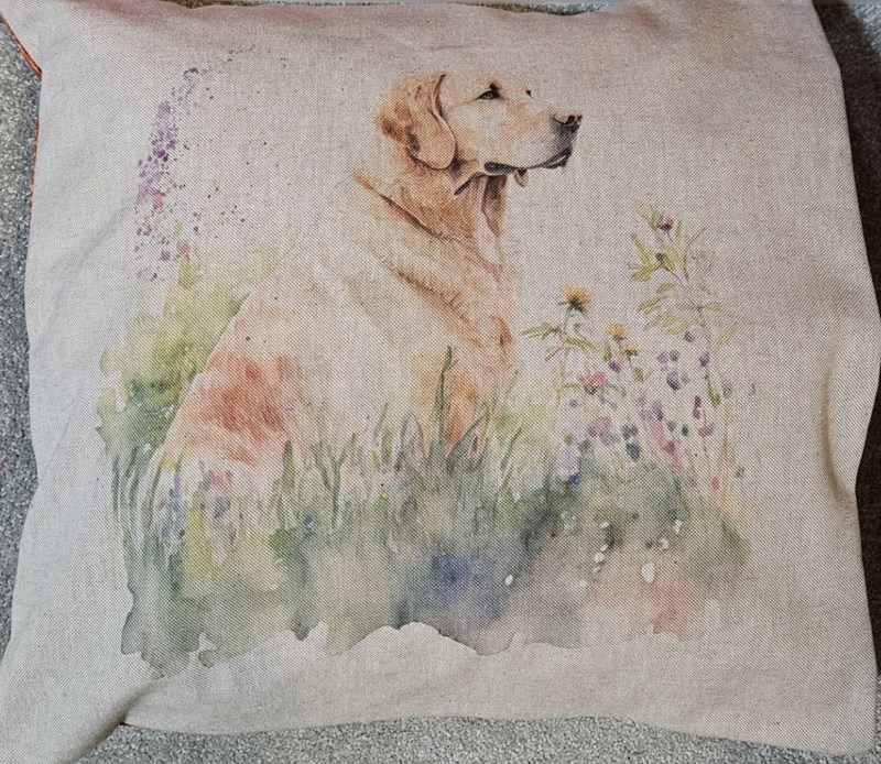 Labrador Cushion (sitting)