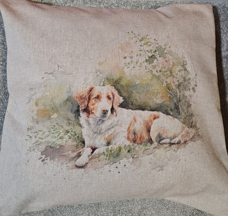 Spaniel Cushion