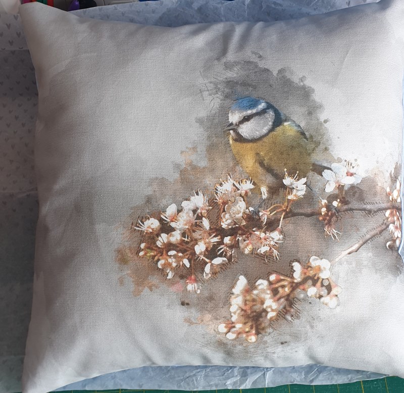 Blue Tit Cushion