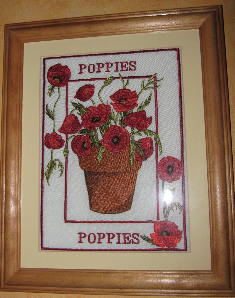 Poppies