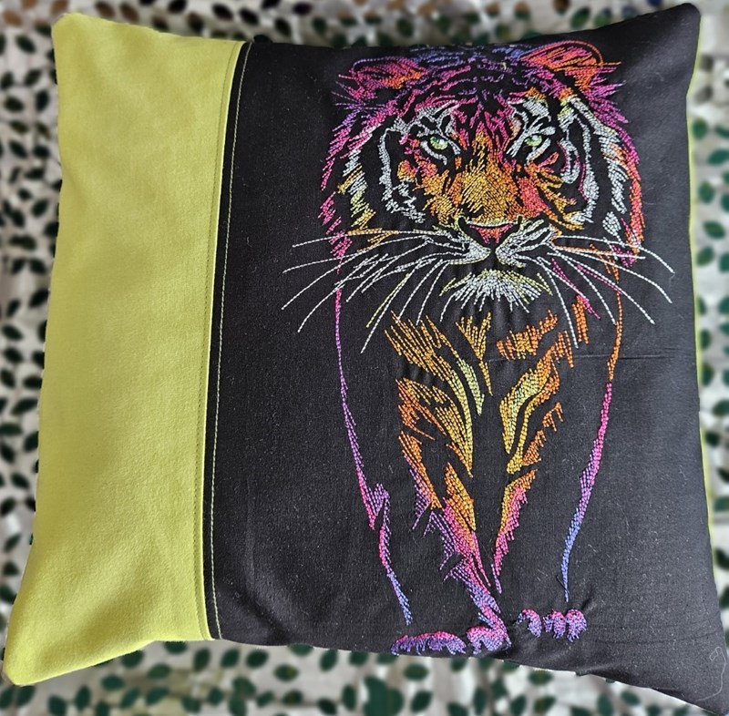 Rainbows and Mystery Tiger Cushion