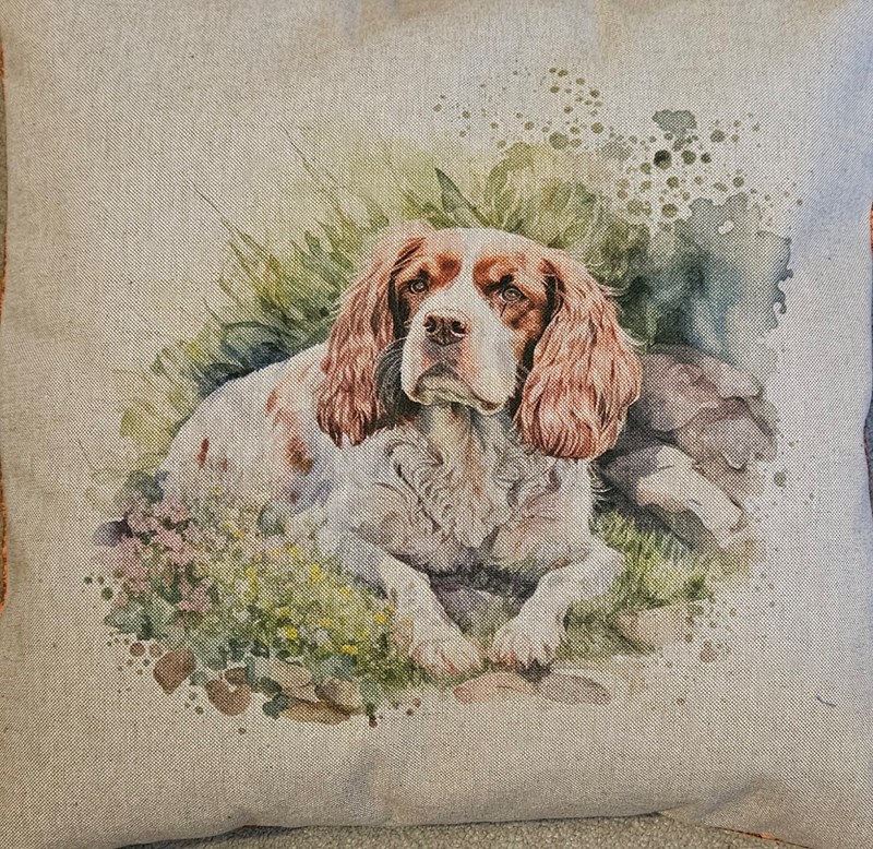 Spaniel Cushion