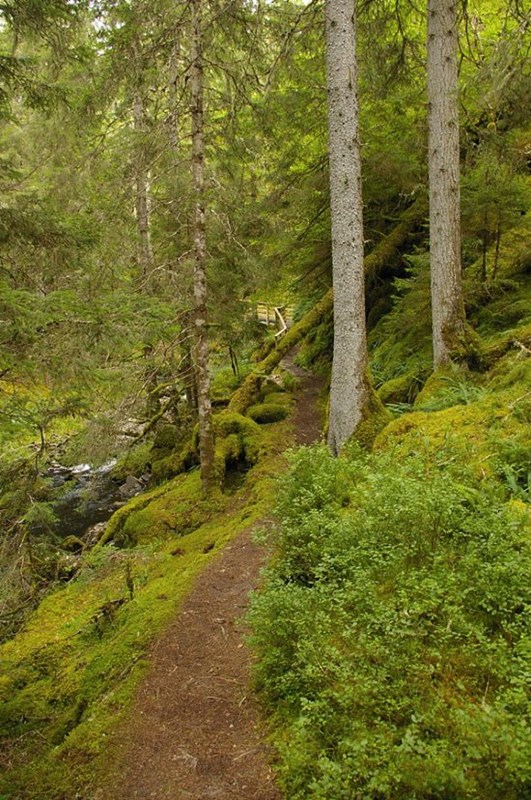 footpath-ravens-rock-gorge