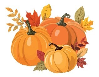 Mearns House Care Home