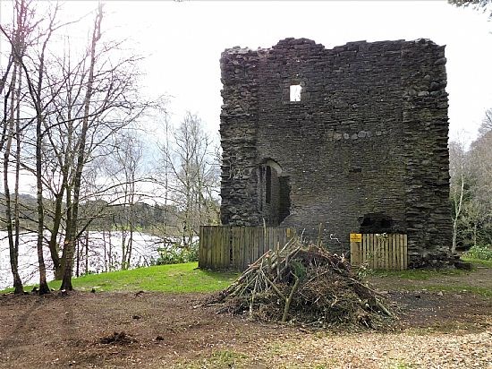 Old timber planks - April 2022