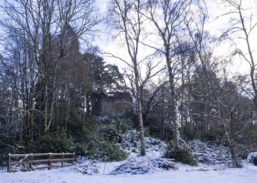 CHRISTMAS COMES TO CASTLE CLUGGY