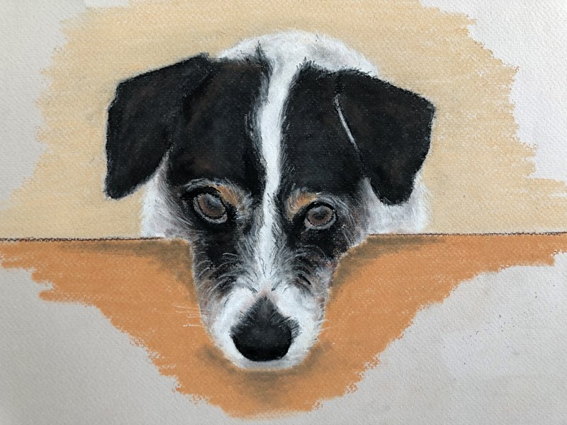 Molly. Pastel on paper.