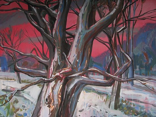 Winter Tree 3