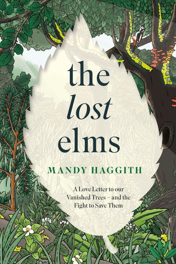 The Lost Elms