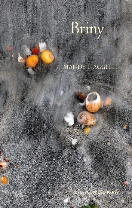 Briny book cover image, shells on sand under water