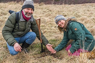 Assynt Elm Project