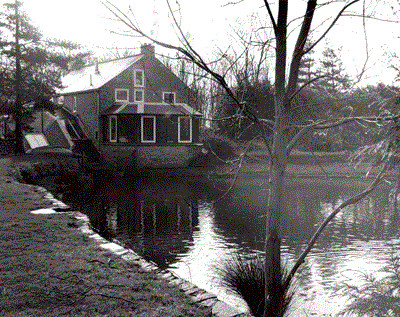 1999 A view of the Mill Dam