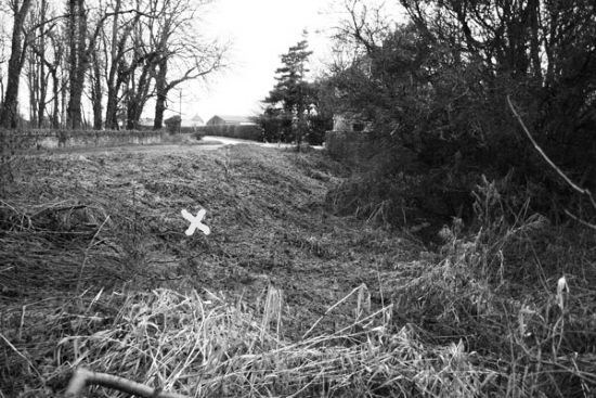 2011 See previous image