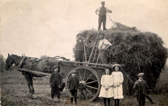 Haymaking c1910.