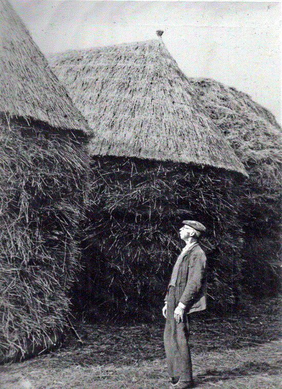 White Bear Farm 1942.