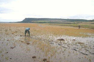 Munlochy Bay