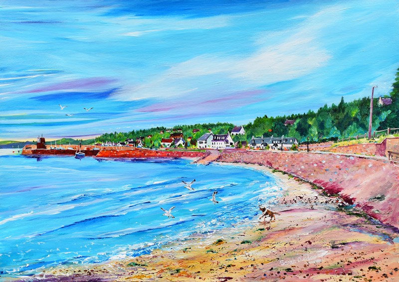 Fortrose Beach, Chasing Birds