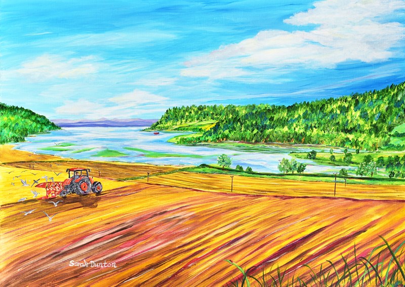 Munlochy Bay Seasons   Spring