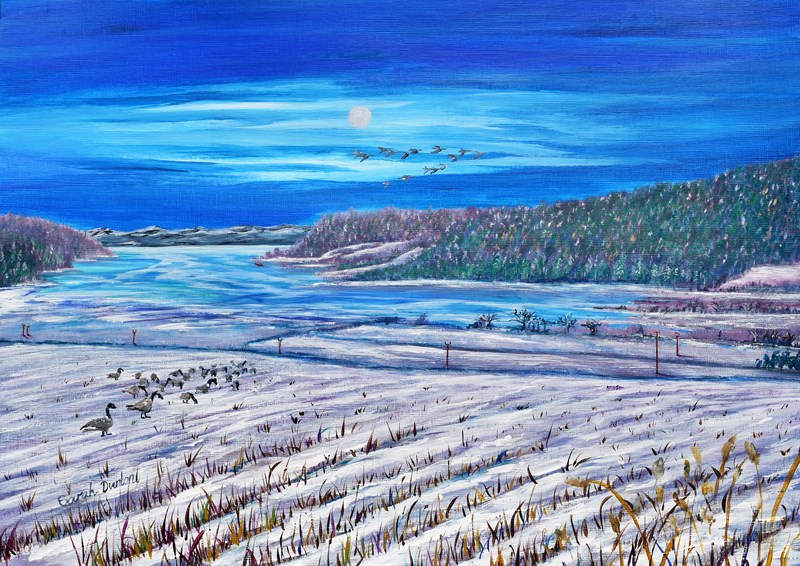 Munlochy Bay Seasons   Winter