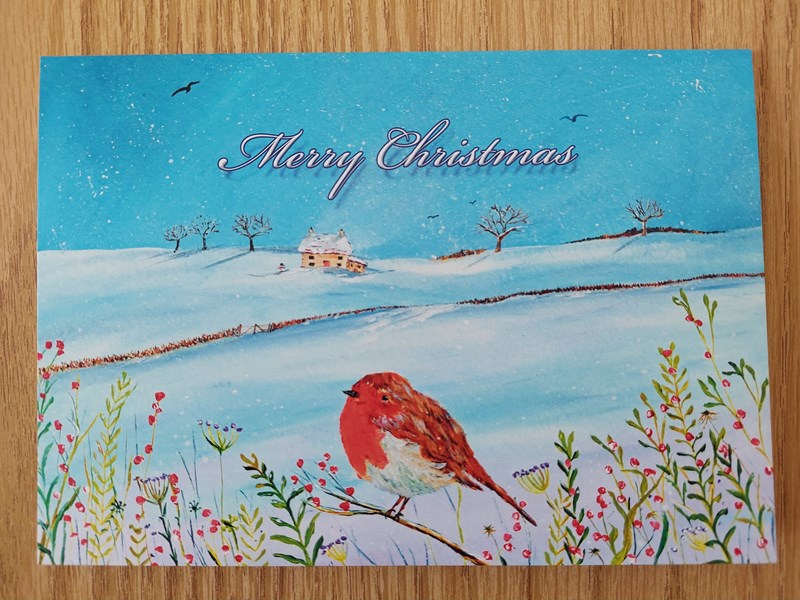 Large Winter's Song   Robin Christmas Card