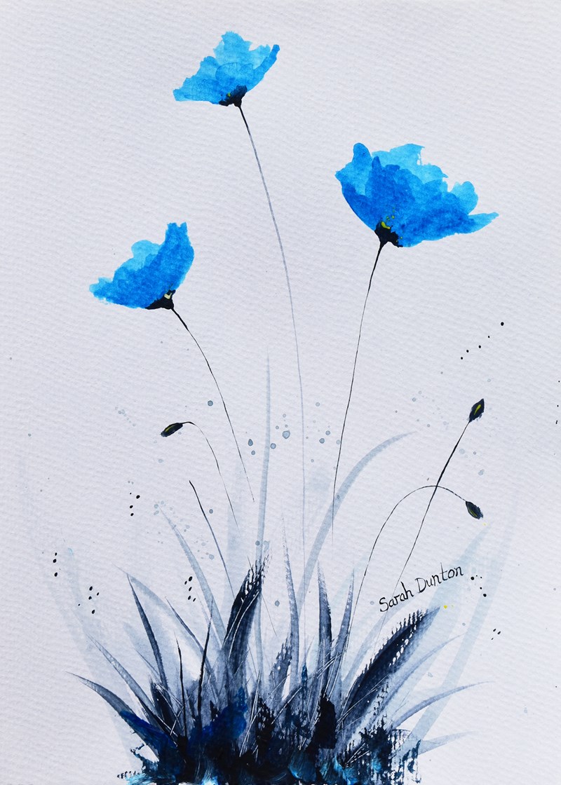 Blue Poppies