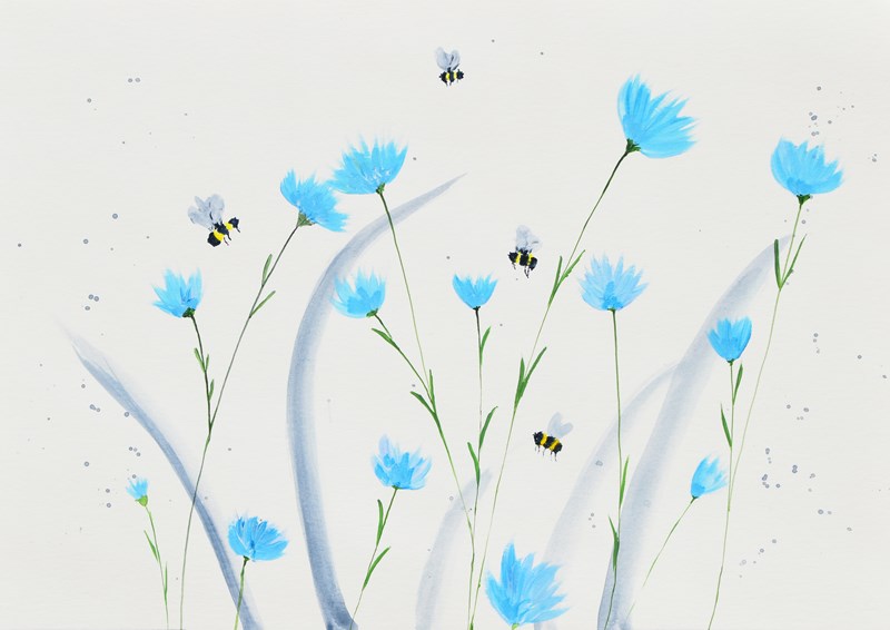 Cornflowers and Bees