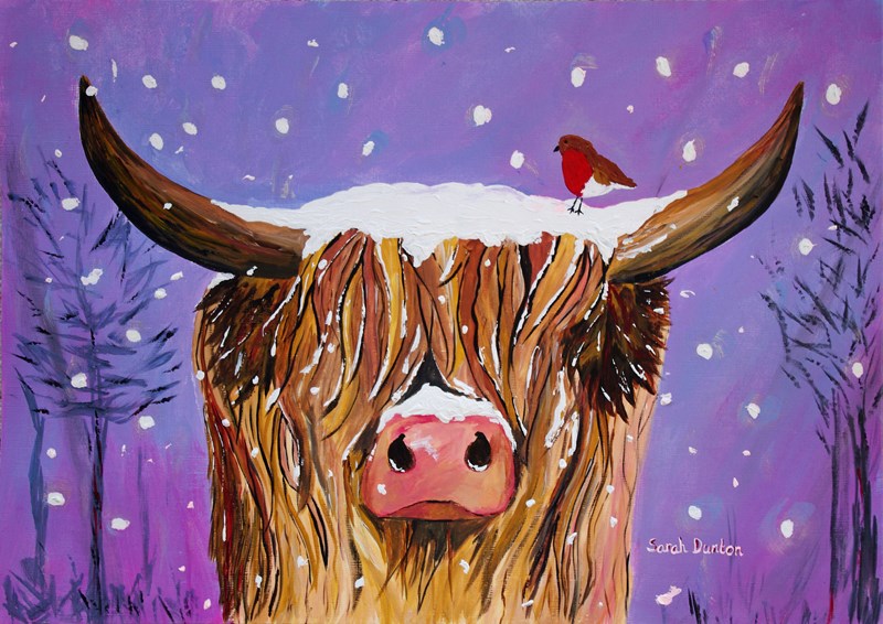 Highland Coo, Hamish