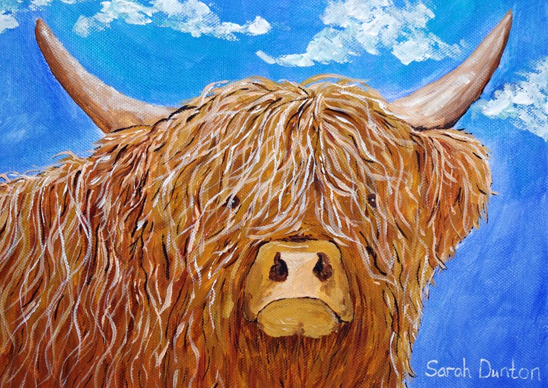 Highland Coo, Seumas