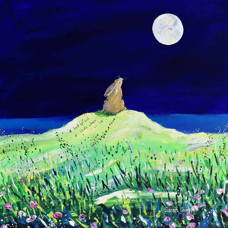 Look Up .... (Hare) *