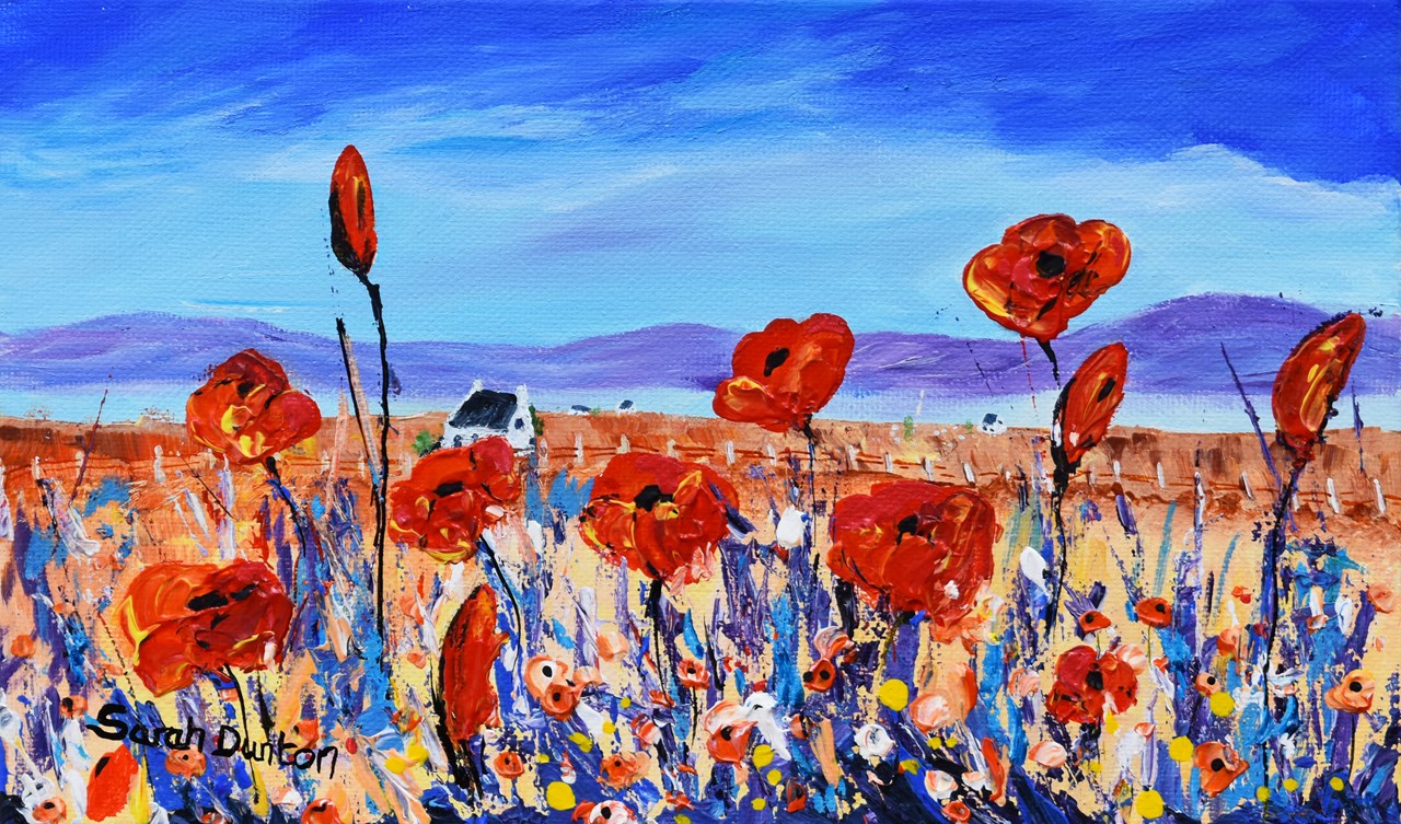 Poppies Dance in the Meadow