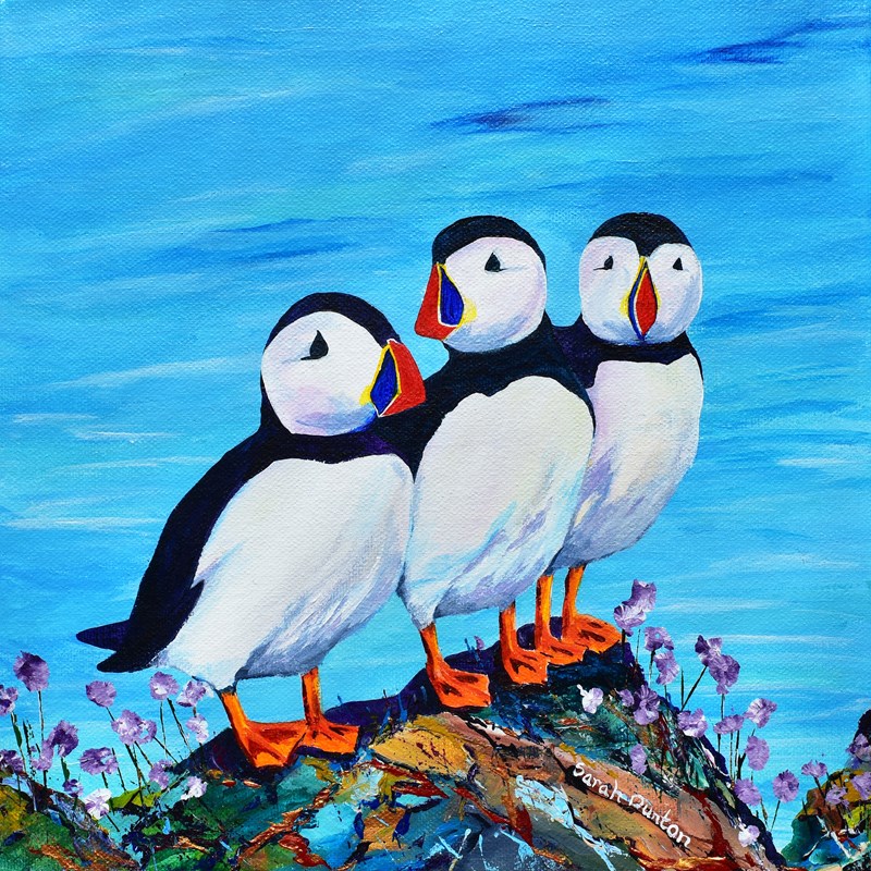 Puffin Pals *