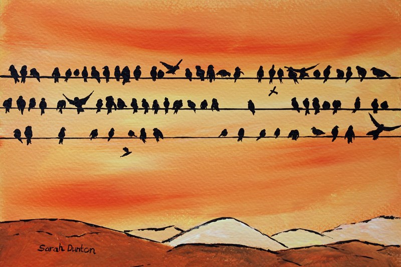 Swallows Preparing to Leave